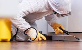 Emergency Pest Control in Uniondale, NY